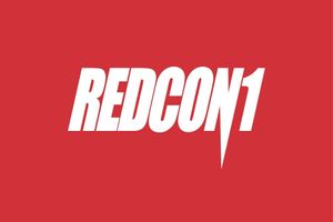 Получили спортивное питание от Американской компании RedCon1