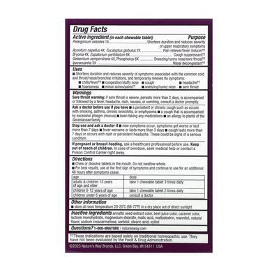 Umcka Cold & Flu Berry - 20 chew tabs