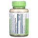 Котячій кіготь Solaray Cat's Claw 500mg - 100 капсул