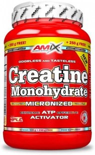 Креатин моногидрат Creatine Monohydrate Amix 750g