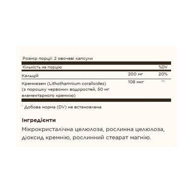 Oceanic Silica 25mg - 100 vcaps