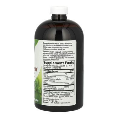 Chlorofresh&reg; Liquid - 16 oz Mint