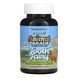 Kids Tooth Fairy Chewable - 90 tabs