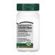 Ginkgo Biloba Extract - 60 vcaps