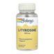 L-Tyrosine 500mg - 100 vcaps