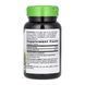 Vitex (Fruit) - 100 vcaps