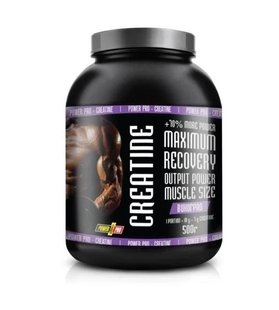 Power Pro Creatine 500 грам