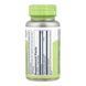 Oil of Oregano 150mg - 60 softgels