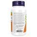 Astragalus Extract 500mg - 90vcaps