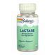 Lactase 40mg - 100 vcaps