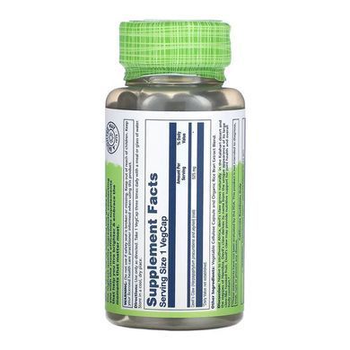 Devil's Claw Root 525mg - 100 vcaps