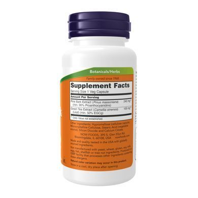 Pine Bark Extract 240mg - 90 caps