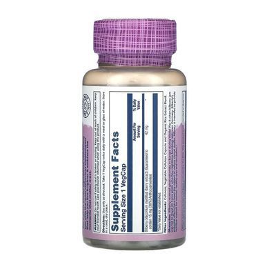 Bilberry Berry Extract 42mg - 60 vcaps