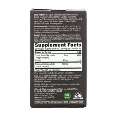 Chlorofresh&reg; Mint 40X Liquid - 59 ml