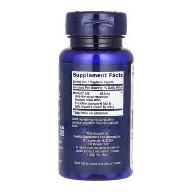 Optimized Fucoidan with Maritech&reg; 926 - 60 vcaps