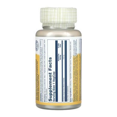 Fulvic Minerals 100mg - 30 vcaps