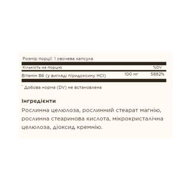 Vitamin B6 100mg - 100 vcaps