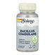 Bacillus Coagulans 5 Billion CFU - 60 vcaps