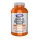Amino-9 Essentials&trade; Powder - 330g