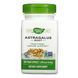 Astragalus Root - 100 vcaps