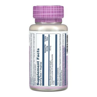 Bacopa 100mg - 60 vcaps