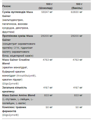 Big Mass Gainer - 3000g Chocolate