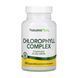 Chlorophyll 600mg - 90 vcaps