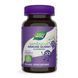 Sambucus Kids Immune Gummy - 40 gummies