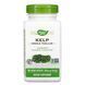 Kelp - 180 vcaps