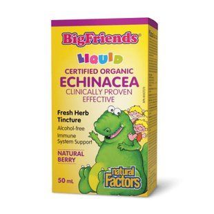 BigFriends Echinacea Alcohol-Free Fresh Herb Tincture for Kids - 50 ml