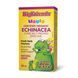 BigFriends Echinacea Alcohol-Free Fresh Herb Tincture for Kids - 50 ml