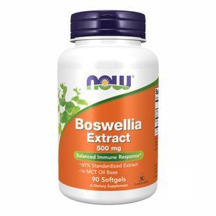 Boswellia Extract 500 mg - 90 sgels