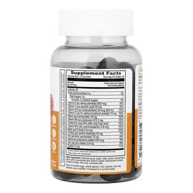 Postnatal - 60 gummies