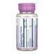 Milk Thistle Phytosome 200mg - 60 vcaps