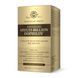 Advanced Multi-Billion Dophilus&reg; - 60 vcaps