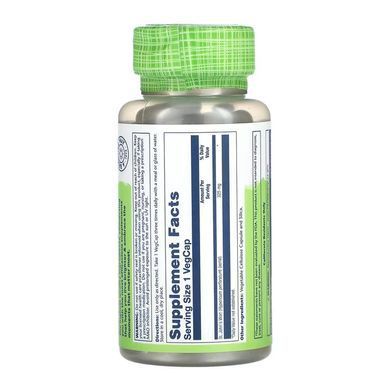 St. John's Wort Aerial 325mg - 100 vcaps