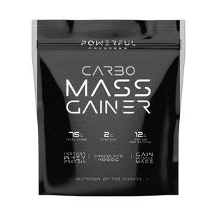 Carbo Mass Gainer - 4000g Forest Fruit