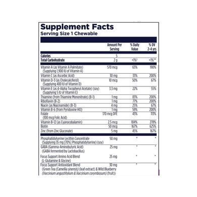Focus-Saurus - 30 chewables Grape