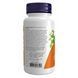 Devil's Claw Root - 100 vcaps
