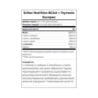 BCAA+Glutamine Xpress - 300g Lime
