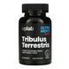 Tribulus Terrestris - 90 caps