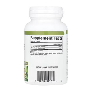 Olive Leaf 500mg - 90 caps