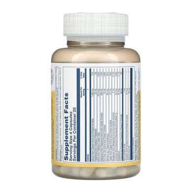 Mega Multi Mineral Iron-Free - 100 caps