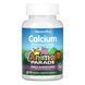 Kids Calcium Chewable Sugarfree - 90 tabs