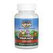 Kids Chewable DHA Omega-3 - 90 tabs Cherry