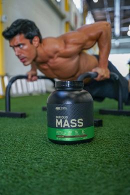 Гейнер Optimum Nutrition Serious Mass, 2.73 кг