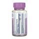 Bilberry Berry Extract 60mg - 60 vcaps